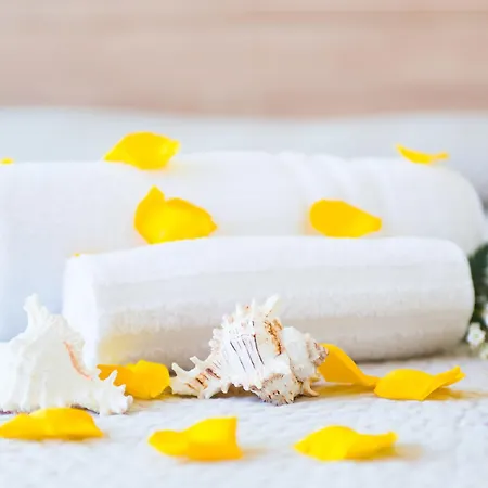 酒店 古丽塔酒店 里乔内